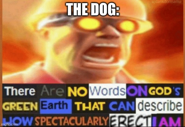 there are no words on god's green earth | THE DOG: | image tagged in there are no words on god's green earth | made w/ Imgflip meme maker