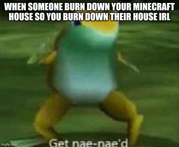 get nae nae'd | WHEN SOMEONE BURN DOWN YOUR MINECRAFT HOUSE SO YOU BURN DOWN THEIR HOUSE IRL | image tagged in get nae-nae'd,minecraft | made w/ Imgflip meme maker