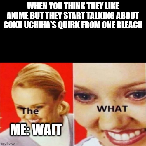 Goku Uchiha | WHEN YOU THINK THEY LIKE ANIME BUT THEY START TALKING ABOUT GOKU UCHIHA'S QUIRK FROM ONE BLEACH; ME: WAIT | image tagged in the what | made w/ Imgflip meme maker