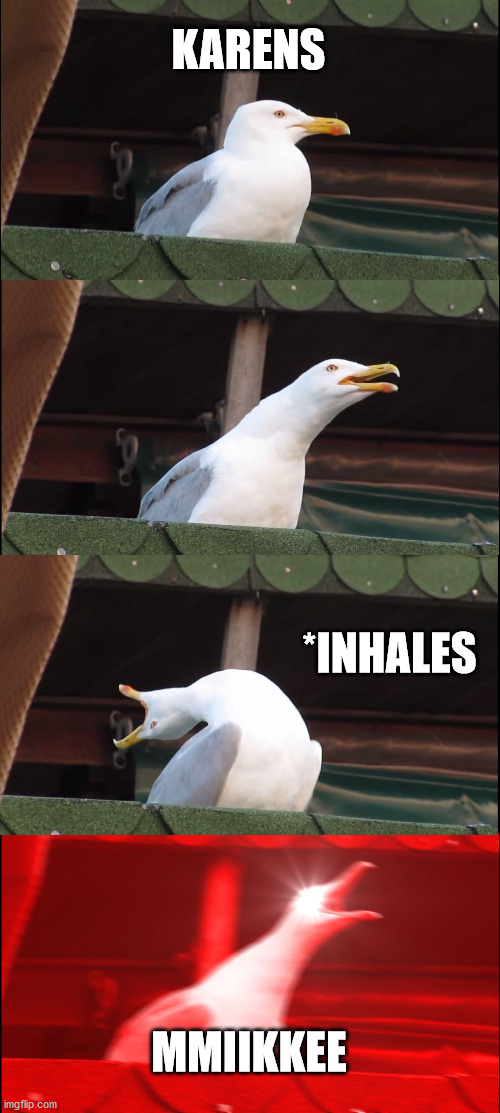 karens | KARENS; *INHALES; MMIIKKEE | image tagged in memes,inhaling seagull | made w/ Imgflip meme maker