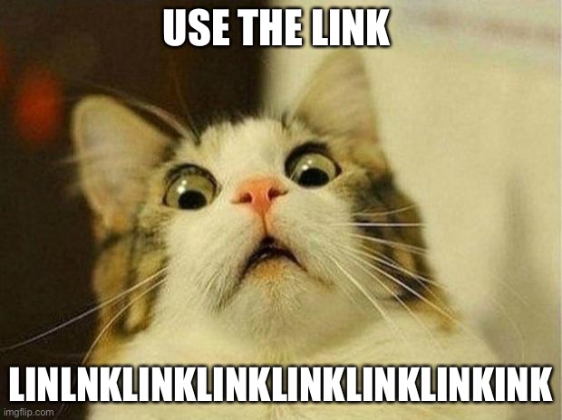 Scared Cat Meme | USE THE LINK; LINLNKLINKLINKLINKLINKLINKINK | image tagged in memes,scared cat | made w/ Imgflip meme maker