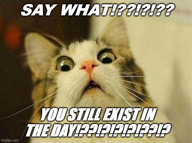 Scared Cat Meme | SAY WHAT!??!?!?? YOU STILL EXIST IN THE DAY!??!?!?!?!??!? | image tagged in memes,scared cat | made w/ Imgflip meme maker