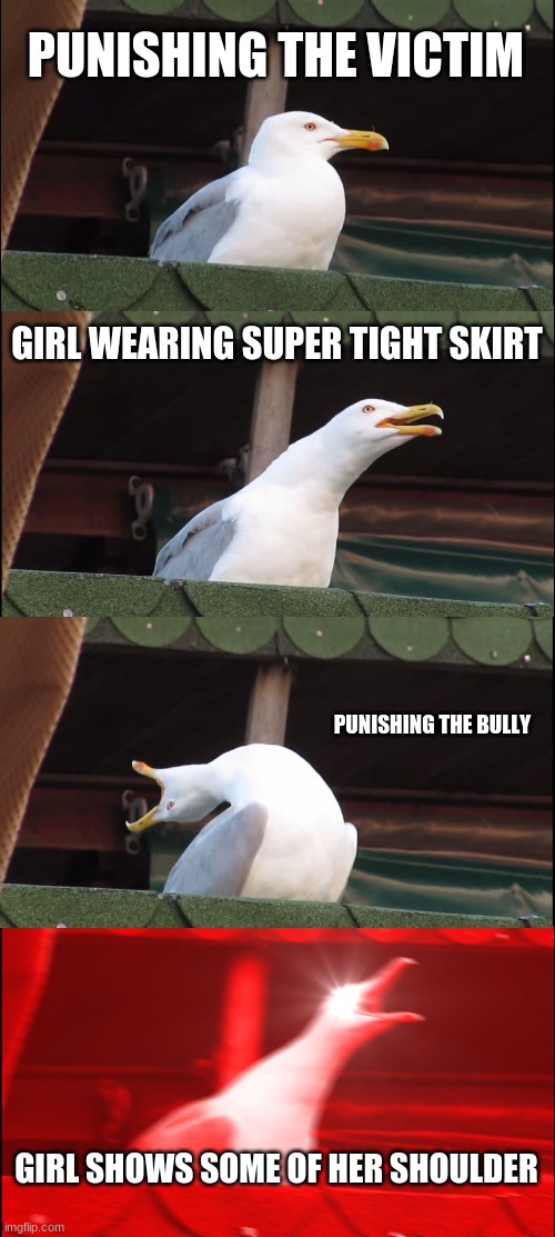 Schools in a nutshell | PUNISHING THE VICTIM; GIRL WEARING SUPER TIGHT SKIRT; PUNISHING THE BULLY; GIRL SHOWS SOME OF HER SHOULDER | image tagged in memes,inhaling seagull | made w/ Imgflip meme maker