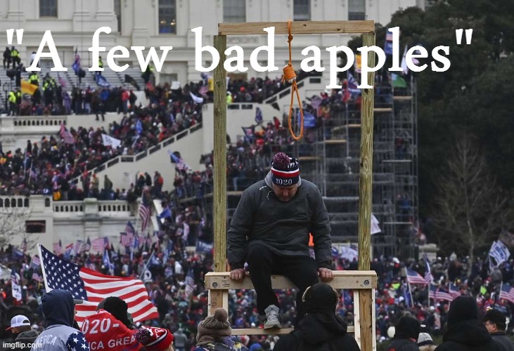 "The Capitol Hill mostly peaceful protest may have shocked liberal snowflakes, but the MAGA movement only has a few bad apples" | "A few bad apples" | image tagged in capitol hill riot gallows,capitol hill,riot,maga,trump supporters,conservative logic | made w/ Imgflip meme maker