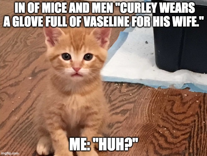 "Huh?" | IN OF MICE AND MEN "CURLEY WEARS A GLOVE FULL OF VASELINE FOR HIS WIFE."; ME: "HUH?" | image tagged in memes | made w/ Imgflip meme maker
