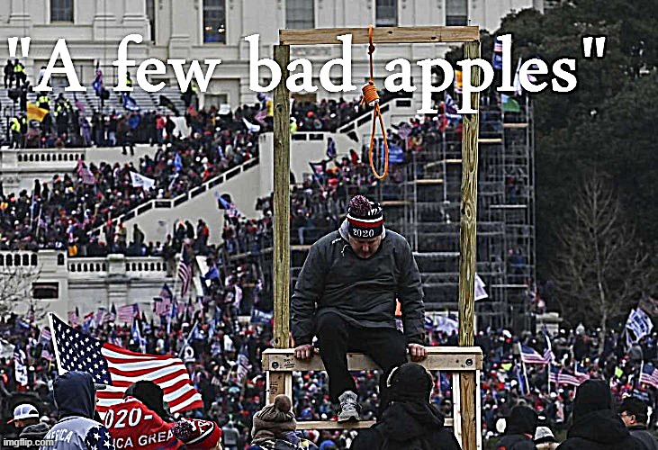 "This mostly peaceful protest was marred by a few bad apples, acting totally independently from the President." | image tagged in a few bad apples,capitol hill,maga,riots,riot,trump supporters | made w/ Imgflip meme maker