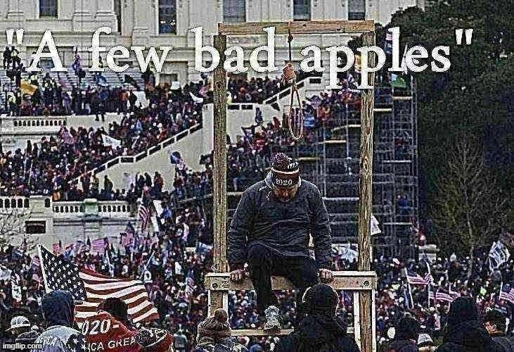 "This mostly peaceful protest was marred by a few bad apples, acting totally independently from the President." | image tagged in maga,riots,riot,trump supporters,capitol hill,rioters | made w/ Imgflip meme maker