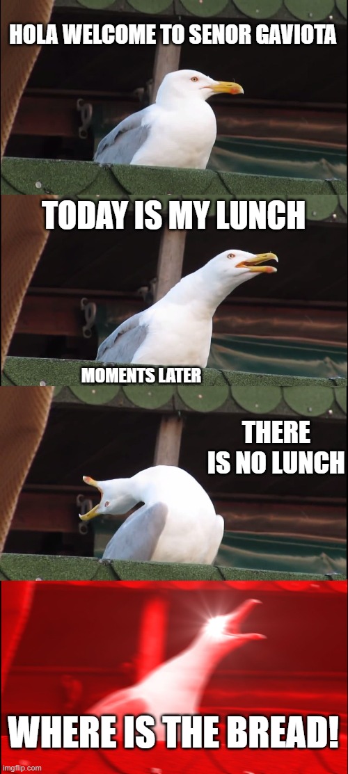 no lunch | HOLA WELCOME TO SENOR GAVIOTA; TODAY IS MY LUNCH; MOMENTS LATER; THERE IS NO LUNCH; WHERE IS THE BREAD! | image tagged in memes,inhaling seagull | made w/ Imgflip meme maker