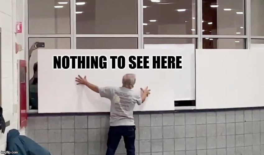 When You Don´t Want the Non-Existent Election Fraud to Be Seen | NOTHING TO SEE HERE | image tagged in politics,election 2020,donald trump | made w/ Imgflip meme maker