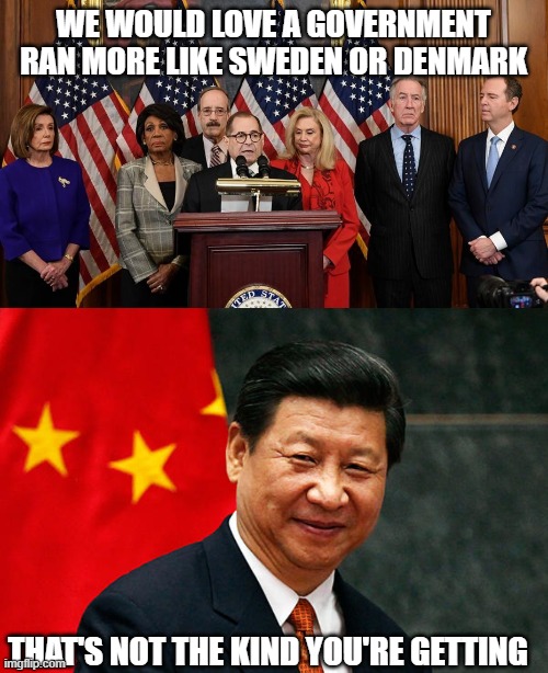 WE WOULD LOVE A GOVERNMENT RAN MORE LIKE SWEDEN OR DENMARK; THAT'S NOT THE KIND YOU'RE GETTING | image tagged in house democrats,xi jinping | made w/ Imgflip meme maker