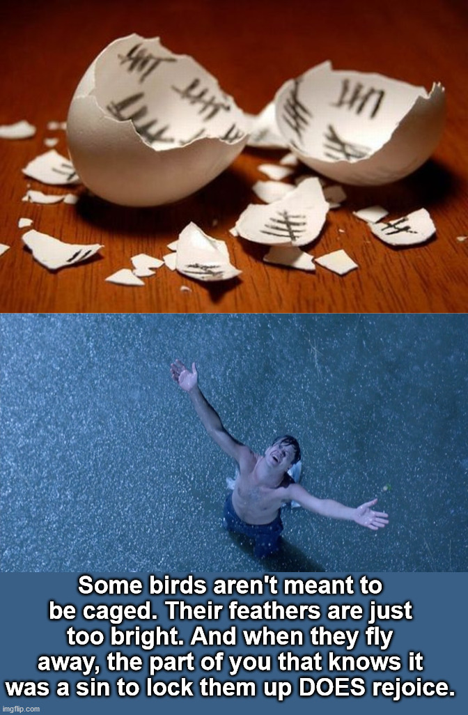 Don't count the days, make the days count. | Some birds aren't meant to be caged. Their feathers are just too bright. And when they fly away, the part of you that knows it was a sin to lock them up DOES rejoice. | image tagged in shawshank breakout,counting,birds | made w/ Imgflip meme maker
