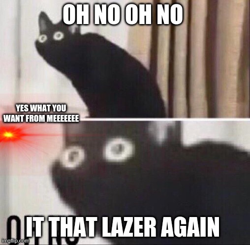 Oh no cat | OH NO OH NO; YES WHAT YOU WANT FROM MEEEEEEE; IT THAT LAZER AGAIN | image tagged in oh no cat | made w/ Imgflip meme maker