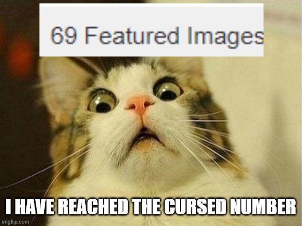 this is my 70th one | I HAVE REACHED THE CURSED NUMBER | image tagged in memes,scared cat,69 | made w/ Imgflip meme maker