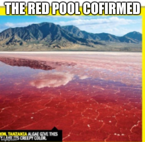 Its the red pool | THE RED POOL COFIRMED | image tagged in scp meme | made w/ Imgflip meme maker