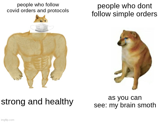 smoth brain | people who follow covid orders and protocols; people who dont follow simple orders; strong and healthy; as you can see: my brain smoth | image tagged in memes,buff doge vs cheems | made w/ Imgflip meme maker