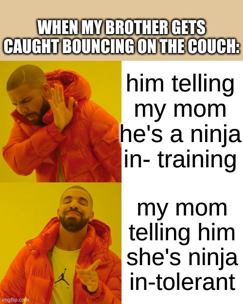 ninja in- tolerant | WHEN MY BROTHER GETS CAUGHT BOUNCING ON THE COUCH:; him telling my mom he's a ninja in- training; my mom telling him she's ninja in-tolerant | image tagged in memes,drake hotline bling | made w/ Imgflip meme maker