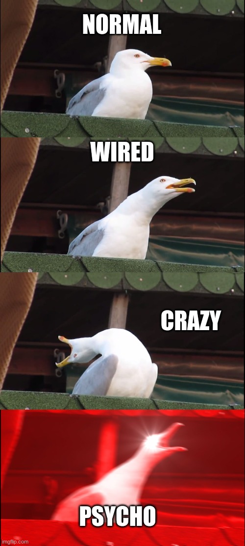 Inhaling Seagull | NORMAL; WIRED; CRAZY; PSYCHO | image tagged in memes,inhaling seagull | made w/ Imgflip meme maker