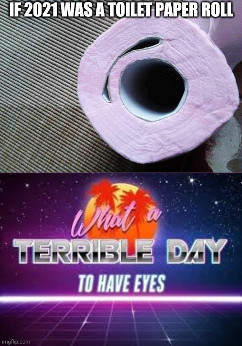 Wait, What kinda toilet paper roll is that?! | IF 2021 WAS A TOILET PAPER ROLL | image tagged in what a terrible day to have eyes,you had one job,2021,funny,memes,invest | made w/ Imgflip meme maker