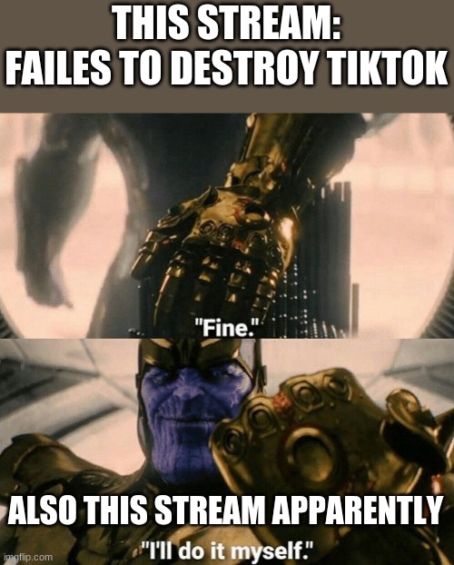 All because someone changed the description and stopped everyone from doing what the stream was meant to do. | THIS STREAM: FAILES TO DESTROY TIKTOK; ALSO THIS STREAM APPARENTLY | image tagged in fine i'll do it myself,tiktok sucks,imgflip users,meanwhile on imgflip | made w/ Imgflip meme maker