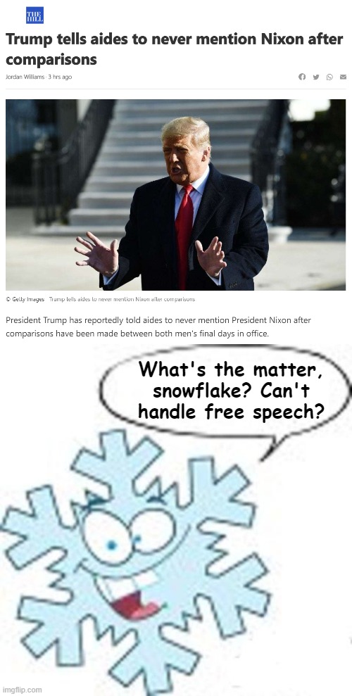 "Free speech" = Trump's own freedom to incite rebellion, minus the freedom to criticize him for it | What's the matter, snowflake? Can't handle free speech? | image tagged in trump nixon comparison,snowflake,traitor,richard nixon,free speech,special snowflake | made w/ Imgflip meme maker