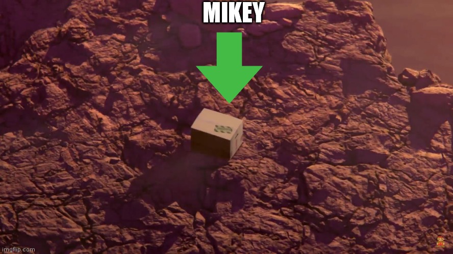 Snake's box | MIKEY | image tagged in snake's box | made w/ Imgflip meme maker