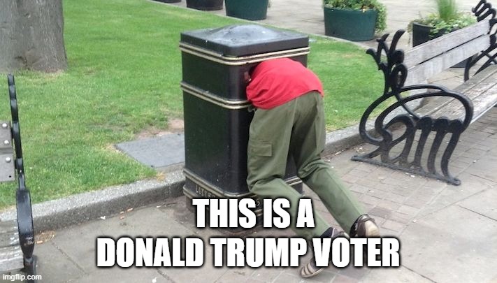 Guy in trash can | THIS IS A; DONALD TRUMP VOTER | image tagged in guy in trash can | made w/ Imgflip meme maker