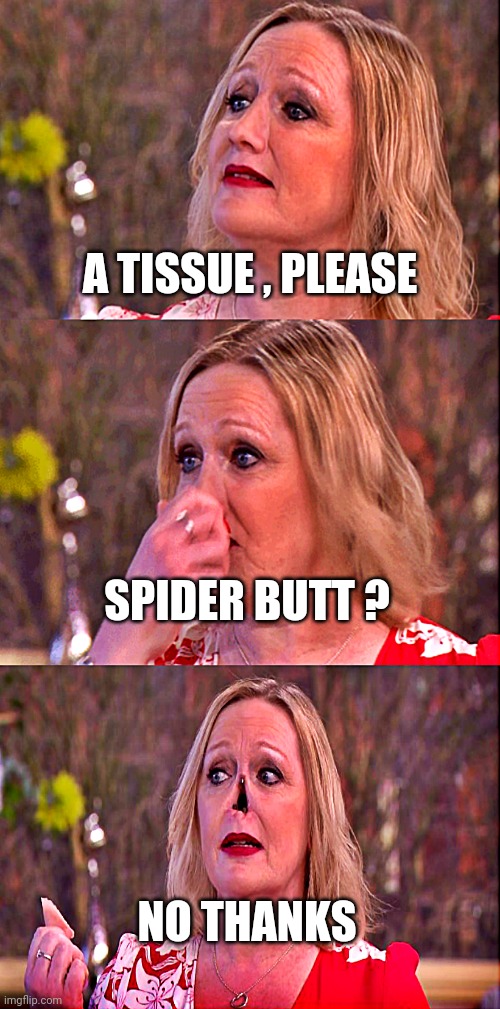 Bad pun nose picker | A TISSUE , PLEASE NO THANKS SPIDER BUTT ? | image tagged in bad pun nose picker | made w/ Imgflip meme maker