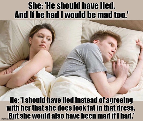 What's a man supposed to do? | She: 'He should have lied. And If he had I would be mad too.'; He: 'I should have lied instead of agreeing with her that she does look fat in that dress. 
But she would also have been mad if I had.' | image tagged in memes,i bet he's thinking about other women,misunderstanding,lying | made w/ Imgflip meme maker