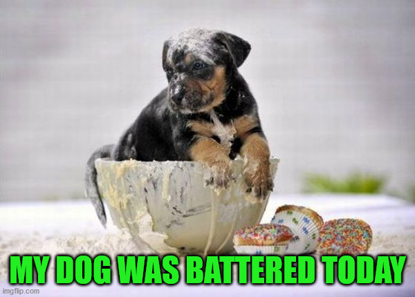 MY DOG WAS BATTERED TODAY | image tagged in eyeroll | made w/ Imgflip meme maker