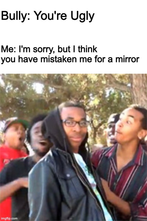 Roasted | Bully: You're Ugly; Me: I'm sorry, but I think you have mistaken me for a mirror | image tagged in black boy roast | made w/ Imgflip meme maker