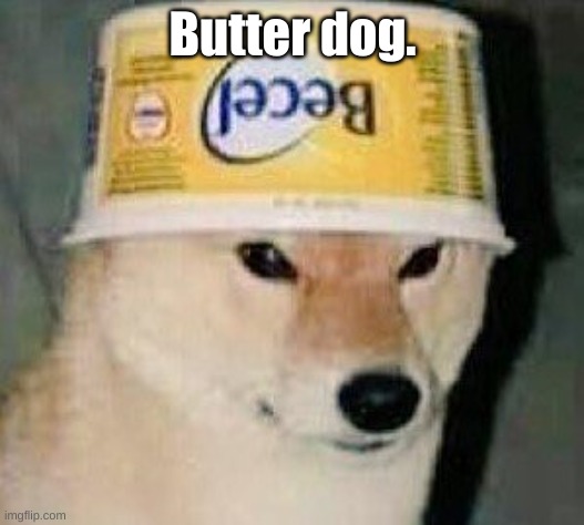 Butter doge | Butter dog. | image tagged in butter doge | made w/ Imgflip meme maker