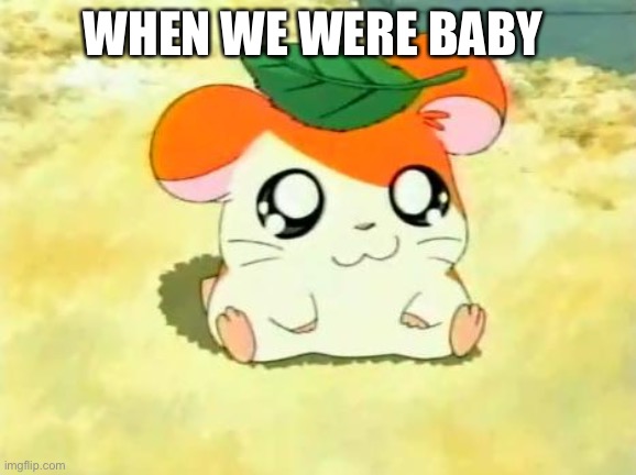 Hamtaro Meme | WHEN WE WERE BABY | image tagged in memes,hamtaro | made w/ Imgflip meme maker