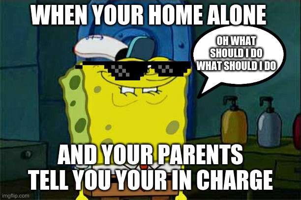 Oh what should i do | WHEN YOUR HOME ALONE; OH WHAT SHOULD I DO WHAT SHOULD I DO; AND YOUR PARENTS TELL YOU YOUR IN CHARGE | image tagged in memes,oh what should i do | made w/ Imgflip meme maker