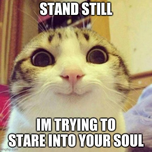 Smiling Cat | STAND STILL; IM TRYING TO STARE INTO YOUR SOUL | image tagged in memes,smiling cat | made w/ Imgflip meme maker