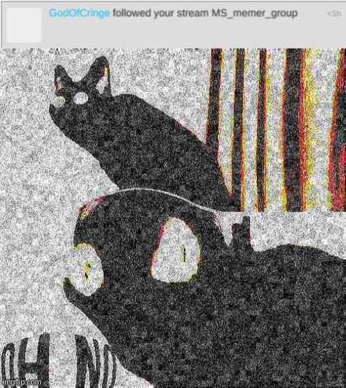 image tagged in deep fried oh no cat | made w/ Imgflip meme maker