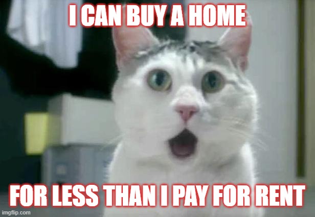 OMG Cat Meme | I CAN BUY A HOME; FOR LESS THAN I PAY FOR RENT | image tagged in memes,omg cat | made w/ Imgflip meme maker