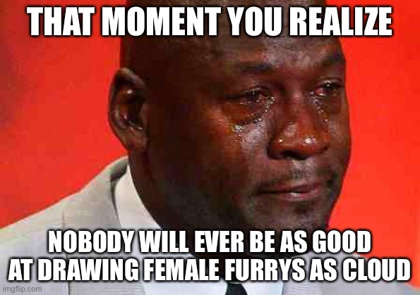 *le weeze* | THAT MOMENT YOU REALIZE; NOBODY WILL EVER BE AS GOOD AT DRAWING FEMALE FURRYS AS CLOUD | image tagged in crying michael jordan | made w/ Imgflip meme maker
