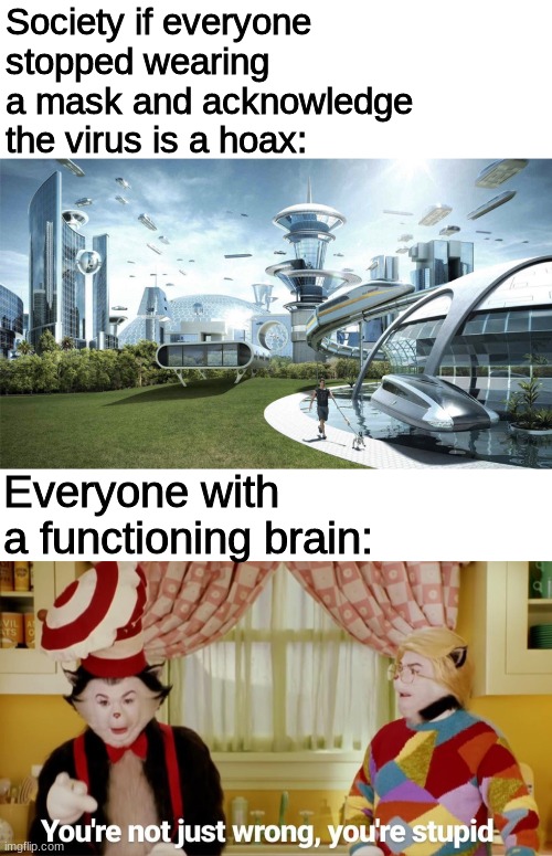 The future is "Bright" for America | Society if everyone stopped wearing a mask and acknowledge the virus is a hoax:; Everyone with a functioning brain: | image tagged in the future world if | made w/ Imgflip meme maker