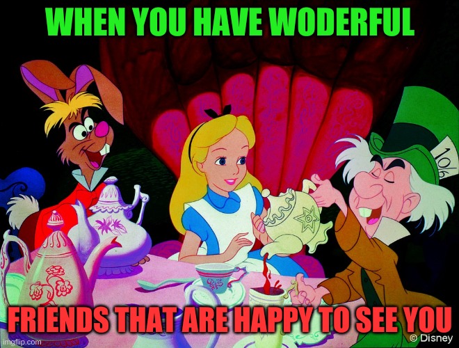 Alice in wonderland |  WHEN YOU HAVE WODERFUL; FRIENDS THAT ARE HAPPY TO SEE YOU | image tagged in alice in wonderland | made w/ Imgflip meme maker