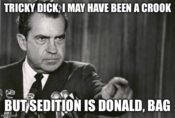 Richard Nixon | TRICKY DICK, I MAY HAVE BEEN A CROOK BUT SEDITION IS DONALD, BAG | image tagged in richard nixon | made w/ Imgflip meme maker