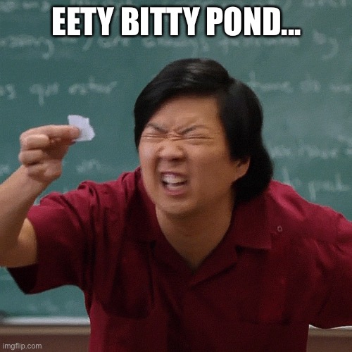 Tiny paper | EETY BITTY POND... | image tagged in tiny paper | made w/ Imgflip meme maker
