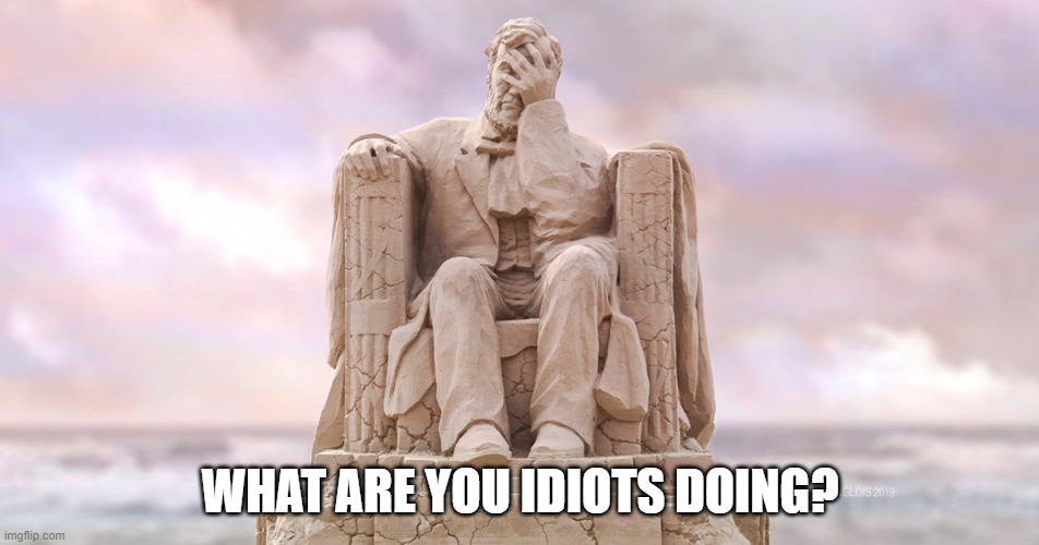 Idiots and Lincoln | WHAT ARE YOU IDIOTS DOING? | image tagged in lincoln,idiots,rights | made w/ Imgflip meme maker