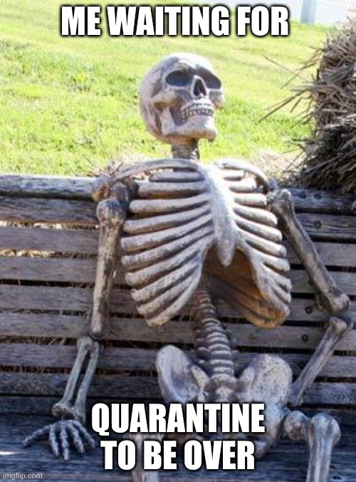 Waiting Skeleton | ME WAITING FOR; QUARANTINE TO BE OVER | image tagged in memes,waiting skeleton | made w/ Imgflip meme maker