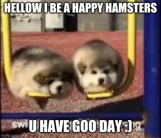 swing swong | HELLOW I BE A HAPPY HAMSTERS; U HAVE GOO DAY :) | image tagged in swing swong | made w/ Imgflip meme maker