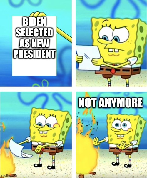 Spongebob Burning Paper | BIDEN SELECTED AS NEW PRESIDENT; NOT ANYMORE | image tagged in spongebob burning paper | made w/ Imgflip meme maker