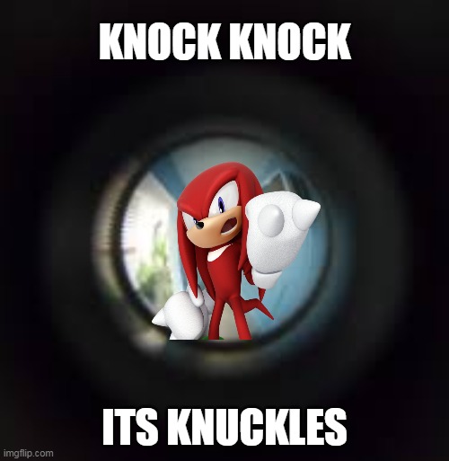 Knock, knock it's Knucles | KNOCK KNOCK; ITS KNUCKLES | image tagged in sonic el erizo,nudillos,memes | made w/ Imgflip meme maker