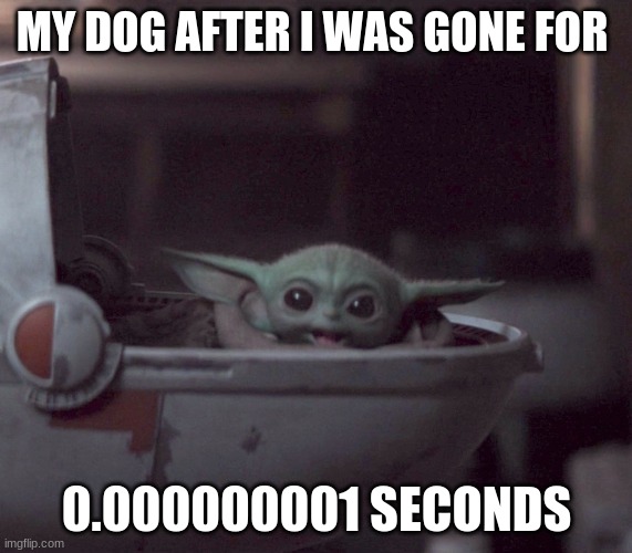 Meeeee dog cute | MY DOG AFTER I WAS GONE FOR; 0.000000001 SECONDS | image tagged in excited baby yoda | made w/ Imgflip meme maker