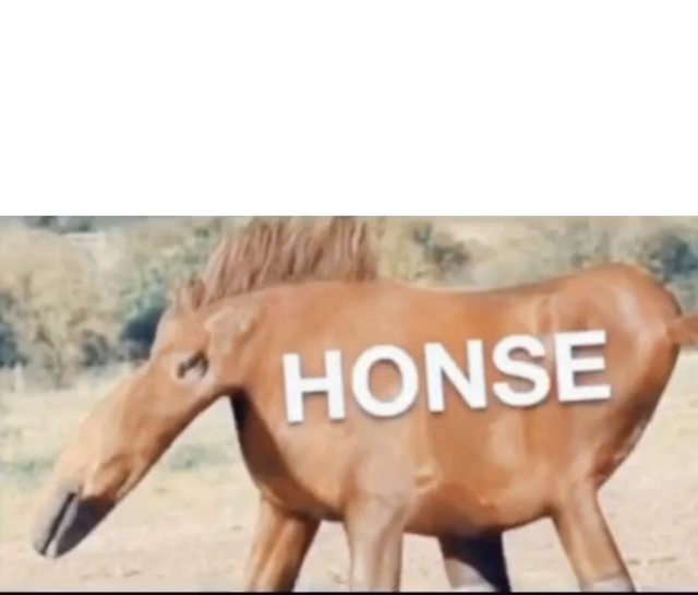 honse Blank Meme Template