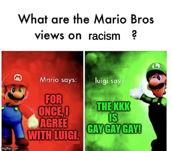 Racism is bad. | racism; FOR ONCE, I AGREE WITH LUIGI. THE KKK 
IS 
GAY GAY GAY! | image tagged in mario bros views,funny memes,funny,mario,memes | made w/ Imgflip meme maker