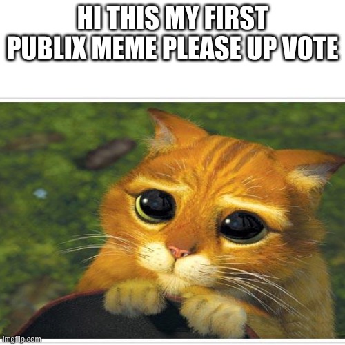 CAT | HI THIS MY FIRST PUBLIX MEME PLEASE UP VOTE | image tagged in cute cat | made w/ Imgflip meme maker